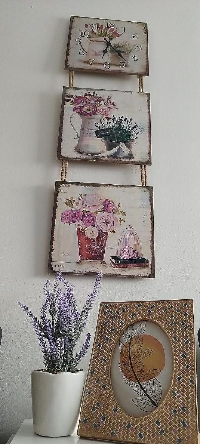 Queen Apartmancic Zaječar 外观 照片